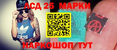 гидра Пушкино