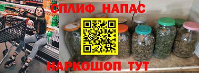 прущие грибы Пугачёв