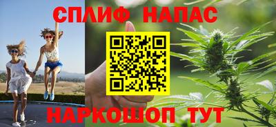 прущие грибы Пугачёв