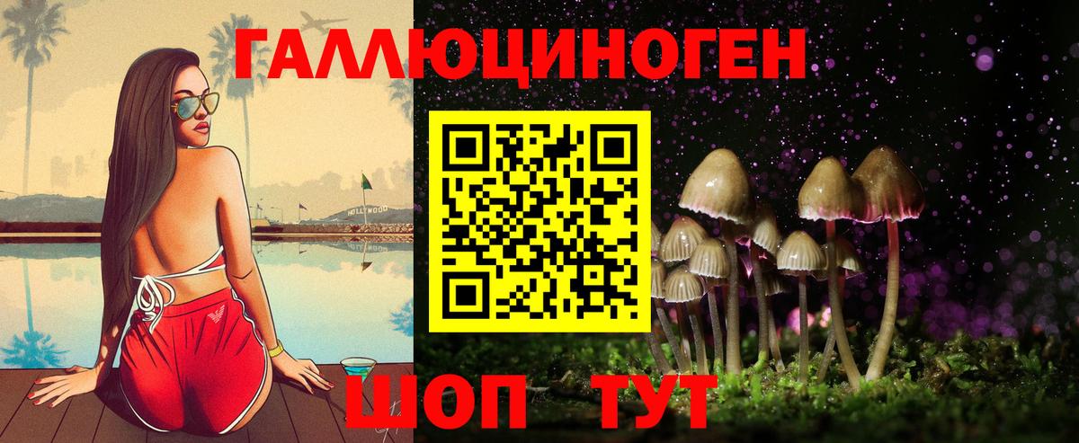 Псилоцибиновые грибы Psilocybe  Вход с VPN  Спасск-Дальний 